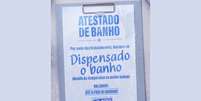 Atestado de banho? cidade de SC &lsquo;libera&rsquo; moradores do chuveiro devido ao forte frio  Foto: Reprodu&ccedil;&atilde;o