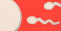 Fundo vermelho com ilustra&ccedil;&otilde;es brancas de espermatozoides em dire&ccedil;&atilde;o a um &oacute;vulo  Foto: BBC News Brasil