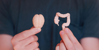 Conex&atilde;o direta entre c&eacute;rebro e intestino &eacute; capaz de influenciar a digest&atilde;o, o tr&acirc;nsito intestinal e at&eacute; a composi&ccedil;&atilde;o da microbiota Foto: Chizhevskaya Ekaterina | Shutterstock / Portal EdiCase