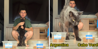 Gato elege a vit&oacute;ria de Cabo Verde sobre a Argentina  Foto: Reprodu&ccedil;&atilde;o