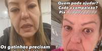 Patr&iacute;cia Louana Masier, dona da ONG Perfeitos e Especiais, que foi presa pela Pol&iacute;cia Civil  Foto: Reprodu&ccedil;&atilde;o/Instagram:@perfeitos_e_especiais