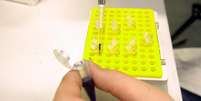 Institui&ccedil;&atilde;o pesquisa meningococo em um laborat&oacute;rio Foto: Canva Fotos / Perfil Brasil