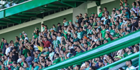 Torcida da Chapecoense Foto: Esporte News Mundo