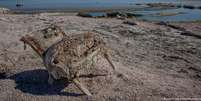 &Agrave; medida que o lago recua, ele exp&otilde;e leito que pode conter subst&acirc;ncias qu&iacute;micas t&oacute;xicas, como pesticidas e metais pesados Foto: DW / Deutsche Welle