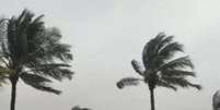 INMET faz alerta de vendaval. Foto: Reprodução / Portal de Prefeitura