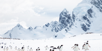 Antartica  Foto: Shutterstock / Xataka