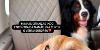 C&atilde;es da fam&iacute;lia viajaram de jato para a Europa - Foto: reprodu&ccedil;&atilde;o/instagram @taia_belloli / Jogada10