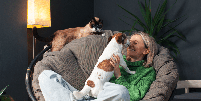 A conviv&ecirc;ncia di&aacute;ria com c&atilde;es e gatos pode transformar a vida dos tutores Foto: Gladskikh Tatiana | Shutterstock / Portal EdiCase
