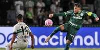 Palmeiras vem de quatro vit&oacute;rias seguidas contra o Coritiba &ndash;  Foto: Cesar Greco/Palmeiras / Jogada10