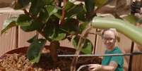 Jardineiros especialistas concordam: "regar as plantas &agrave;s tr&ecirc;s da tarde &eacute; como despejar um balde de &aacute;gua fervente sobre elas" Foto: Xataka