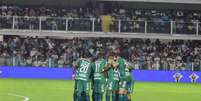 Chapecoense volta a pontuar no Brasileir&atilde;o Foto: Roberto Pessoa/ ACF / Esporte News Mundo