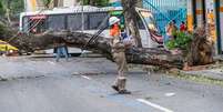 Ventania provocou estragos no Rio de Janeiro e em diferentes pontos do Estado  Foto: ESTADÃO CONTEÚDO/ELLAN LUSTOSA