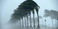 INMET emite alerta de PERIGO POTENCIAL para VENDAL Foto: Portal de Prefeitura
