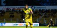 Reinaldo tem 15 gols marcados em 72 partidas pelo Mirassol - Foto: Divulgação/Mirassol / Jogada10