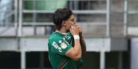 Foto: X / Palmeiras  Foto: X / Palmeiras / RTI Esporte