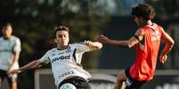 Santos treinou firme em prepara&ccedil;&atilde;o para enfrentar o Athletico - Foto: Raul Baretta/ Santos FC. / Jogada10