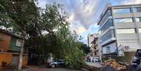 Árvore caída em São Paulo após ventania: no Brasil, El Niño provoca clima de extremos em agosto, com calor atípico e ciclone  Foto: Defesa Civil SP / BBC News Brasil