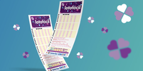 Lotof&aacute;cil Foto: Reprodu&ccedil;&atilde;o/Caixa