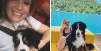 Angélica se emociona com a morte de cachorro da família: ‘Nosso grandão vai fazer muita falta’  Foto: Reprodução/Instagram