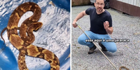 Cobra mais perigosa do Brasil &eacute; encontrada em regi&atilde;o residencial de SC e capturada por bi&oacute;logo  Foto: Reprodu&ccedil;&atilde;o/Instagram
