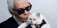 Choupette com Karl Lagerfeld: a 'filha' do lend&aacute;rio estilista da Chanel est&aacute; &agrave; espera da fortuna  Foto: Reprodu&ccedil;&atilde;o/@choupetteofficiel