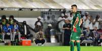 Palmeiras superou o Santos  Foto: JOTA ERRE / AGIF