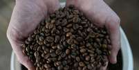 O cafeicultor Lucas Venturim segura grãos de café robusta na loja de sua fazenda em São Domingos do Norte, no estado do Espírito Santo, Brasil, em 23 de setembro de 2025. REUTERS/Alexandre Meneghini  Foto: Reuters
