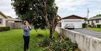 Durante a &eacute;poca de frutifica&ccedil;&atilde;o, o problema ficou mais evidente. Foto: Imagem gerada por intelig&ecirc;ncia artificial / Catraca Livre