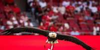 &Aacute;guia Vit&oacute;ria sobrevoa o Est&aacute;dio da Luz antes de todas as partidas do Benfica - Foto: Divulga&ccedil;&atilde;o/SL Benfica / Jogada10