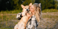 Os cachorros utilizam principalmente a linguagem corporal para se comunicar  Foto: Yury Nikolaev | Shutterstock / Portal EdiCase