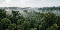 Imagem gerada por Inteligência Artificial, que não tem o objetivo de refletir ou retratar situações reais.  Foto: Imagem: gerada por IA / Portal Terra / TerrAI