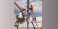 Corpo foi retirado no início da manhã desta segunda-feira, 21, pelo Corpo de Bombeiros   Foto: Reprodução/Instagram/@olindaordinariaa