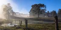 Araucária em paisagem rural de inverno em Pinhão (PR); El Niño deve intensificar a atuação de massas de ar frio no Sul do país durante a primavera  Foto: Getty Images / BBC News Brasil
