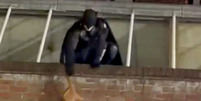 Homem vestido de Batman persegue ladr&atilde;o e recupera bolsa roubada na Inglaterra  Foto: Reprodu&ccedil;&atilde;o 