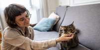 Cat Sitter 1 Foto: shutter / Xataka