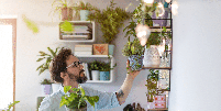 As plantas potencializam a sensação de proteção, cuidado, sorte e prosperidade no lar Foto: pikselstock | Shutterstock / Portal EdiCase