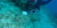Os mergulhadores encontraram três âncoras de pedra, parte dos itens de reserva que os navios levavam em viagens longas Foto: Hakan Öniz / BBC News Brasil