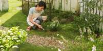 Aprenda a criar um jardim lindo e funcional em quintais pequenos! Confira as dicas valiosas da arquiteta Cilene Lupi para otimizar o espa&ccedil;o sem erro Foto: Canva Equipes/Aflo Images de Aflo / Bons Fluidos