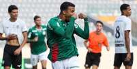 Palmeiras sai em vantagem na série - Foto: Fabio Menotti/Palmeiras / Jogada10