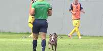 Apesar da cena inusitada, Vasco segurou o resultado e venceu o Madureira - Foto: Reprodu&ccedil;&atilde;o/Vasco TV / Jogada10
