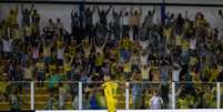 Comemora&ccedil;&atilde;o de gol do Mirassol contra o Inter, pela rodada 31 do Campeonato Brasileiro - Foto: Esporte News Mundo
