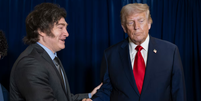 Milei &eacute; um dos aliados do presidente Donald Trump na Am&eacute;rica Latina  Foto: Daniel Torok/White House