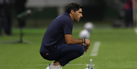 Foto: ( Cesar Greco/Palmeiras/by Canon) / Gávea News