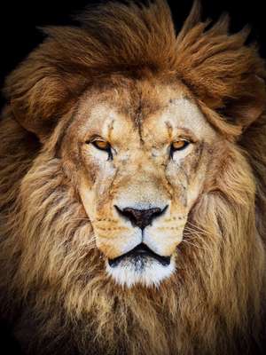 Receita paga 2º lote da restituição do IR nesta quarta-feira