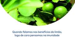 Conheça 7 benefícios do limão