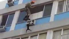 Fujão! Gato dá trabalho durante resgate no alto de prédio no Rio