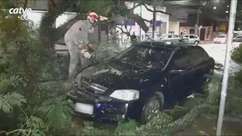 Galho de árvore cai e atinge carro estacionado no Centro de Cascavel