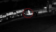Vídeo: pedestre é atropelado por ônibus na BR 277 em Cascavel