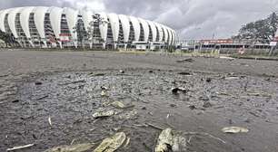 Peixes mortos são encontrados no entorno do Estádio Beira-Rio; veja