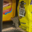 Vídeo mostra rato se alimentando de achocolatado em supermercado; veja